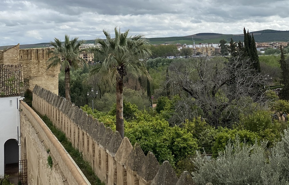 Historia y Encanto de La Torre de los Leones en el Alcázar