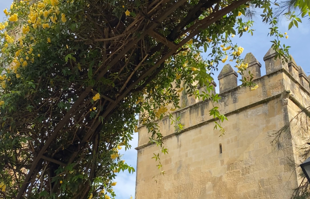 El Alcázar de los Reyes Cristianos de Córdoba