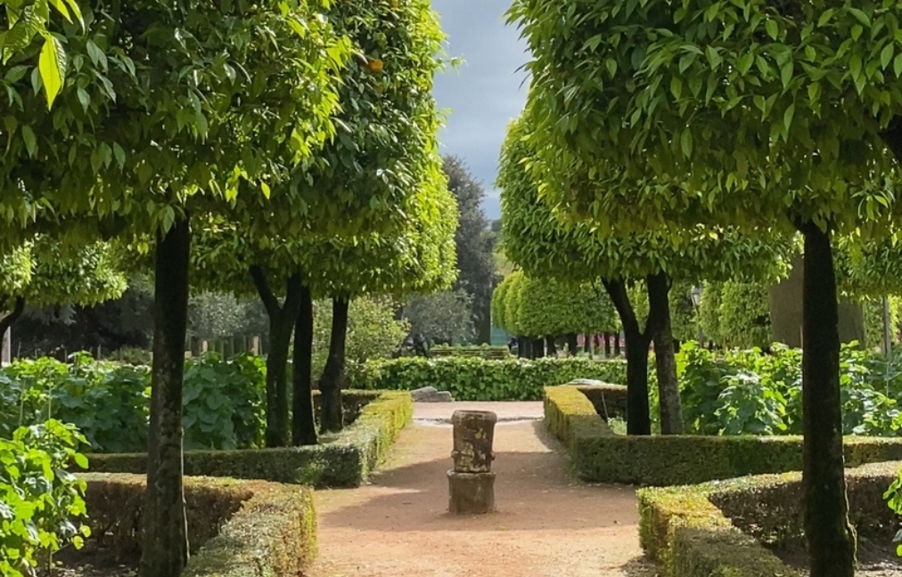 Jardines del Alcázar de Córdoba: Un Oasis de Historia y Belleza