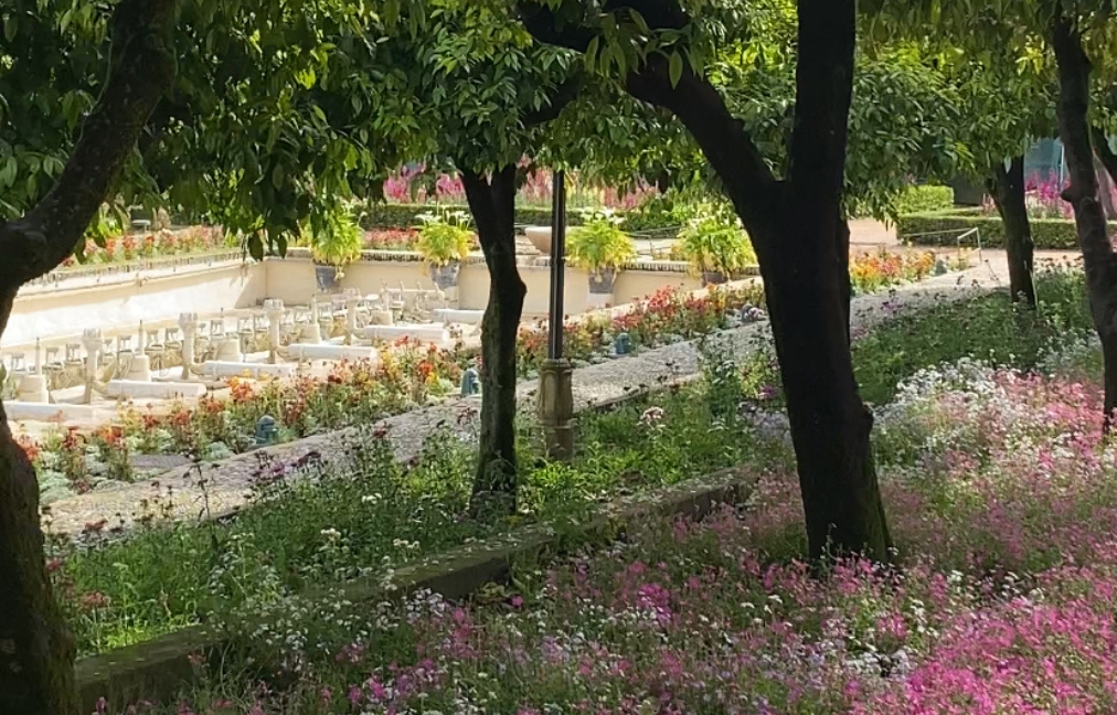 Noches Mágicas en el Alcázar de los Reyes Cristianos