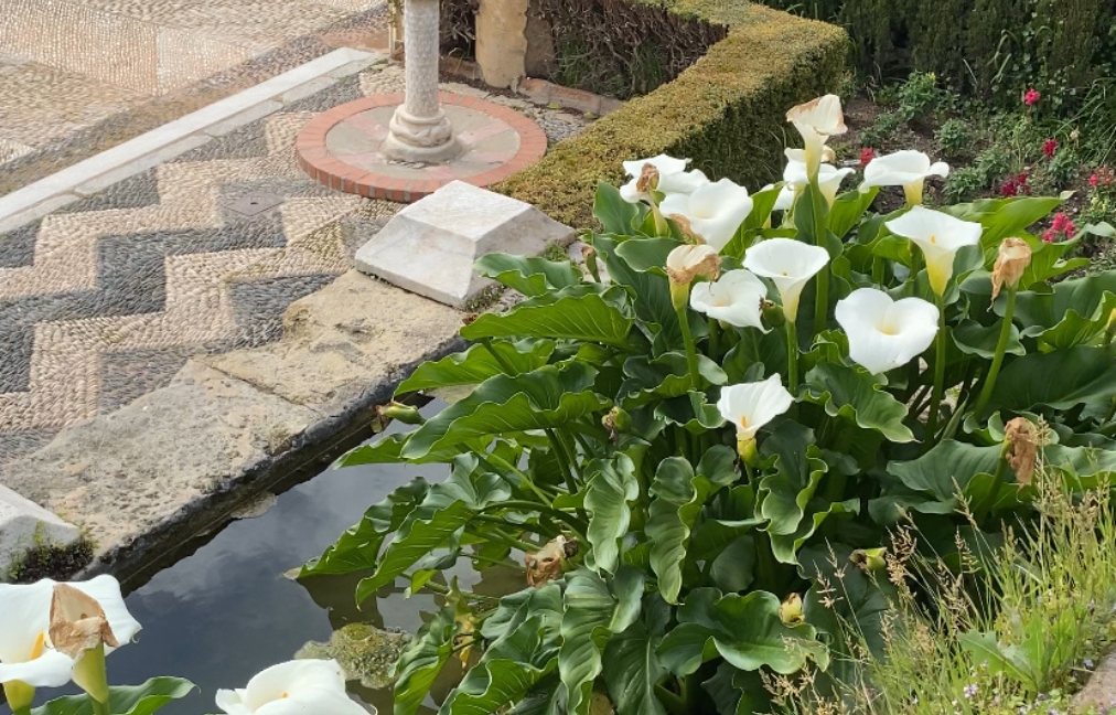 Patios interiores del Alcázar: historia, arquitectura y función